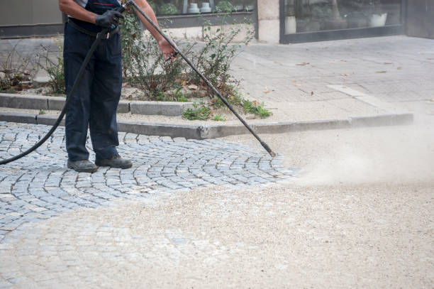 Best Roof Cleaning and Mildew Removal in Waynesboro, PA
